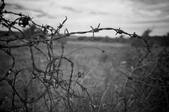 Колючая проволока
