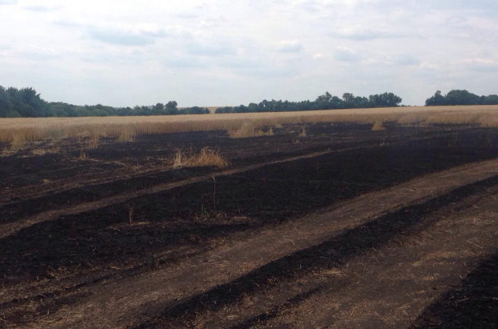 Сгорело пшеничное поле