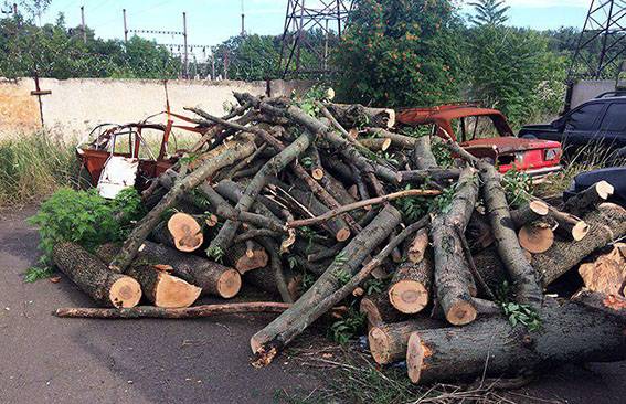 Вырубка леса на Донетчине