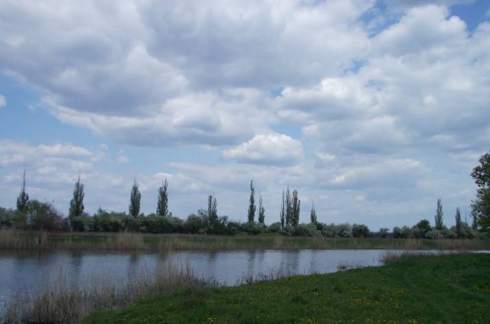 р. Мокрые Ялы