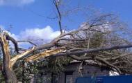 Ураган в Сватово