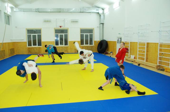 татами для единоборств