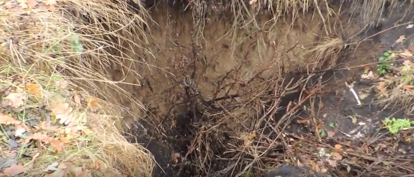 На оккупированном Донбассе изнасиловали и убили женщину