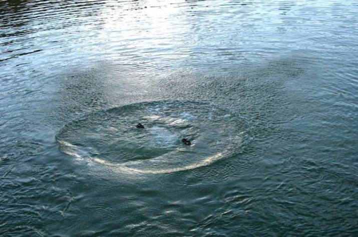 Нашли тело в реке