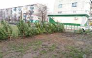 На Луганщине продолжают выявлять нарушения правил торговли елками