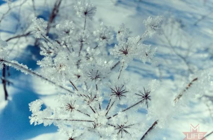 На Луганщине ожидается сильное похолодание