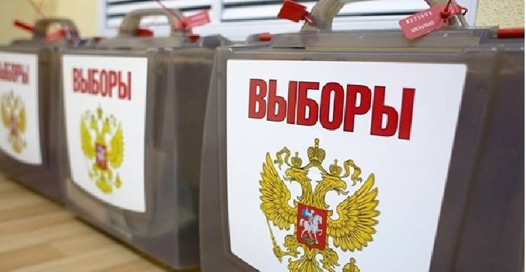 выборы
