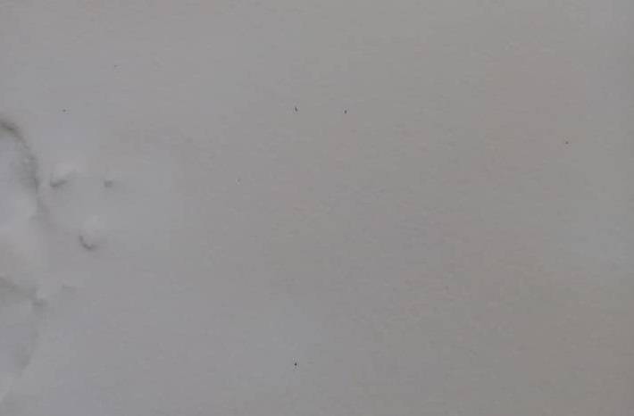 На Донбассе выпал необычный снег