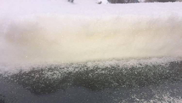 Желтый снег