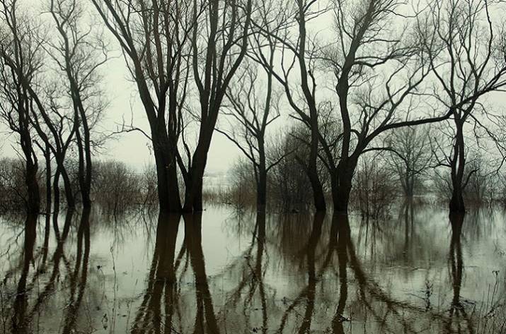 На Луганщине начинается половодье