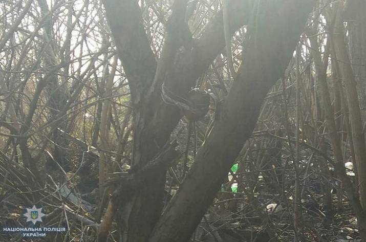 В Луганской области во дворе частного дома нашли разтяжку 