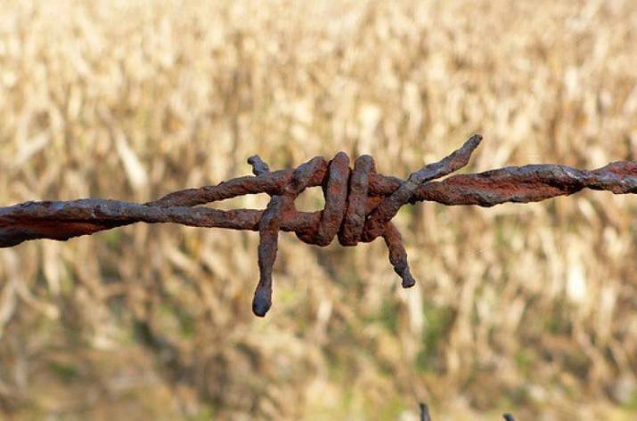 В ОРДЛО нашли тело мужчины, погибшего при загадочных обстоятельствах