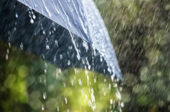 Синоптики предупредили о шквальном ветре и грозах на Донбассе 