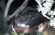 В Мариуполе, что на Донетчине, пьяный водитель на «Фиате» врезался в дерево. 
