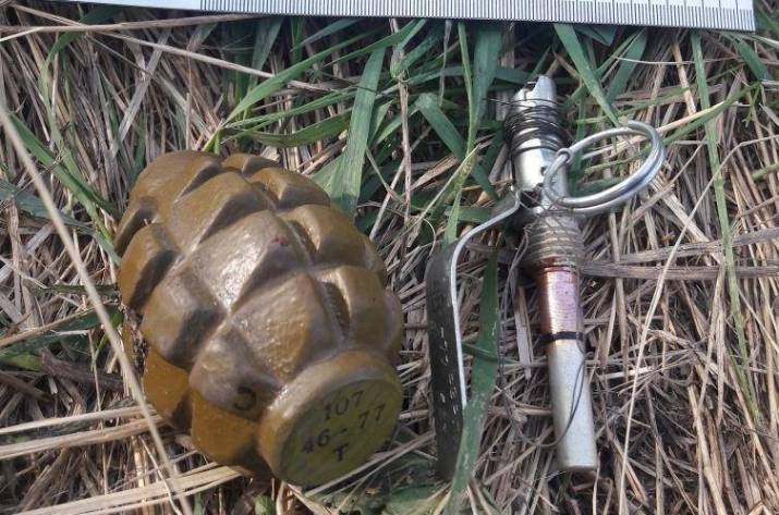 В Луганской области нашли гранату с растяжкой