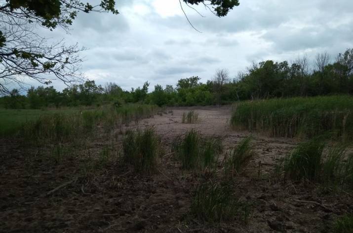 Подземные воды, скорее всего, уже затопили шахту