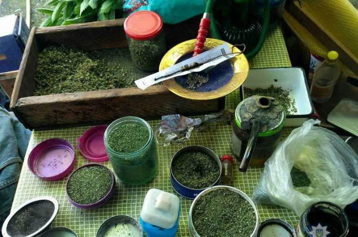 У жителя Славянска изъяли полкилограмма каннабиса