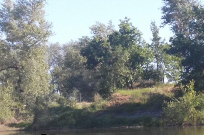 Россия поставила забор на границе с оккупированным Донбассом (фото)