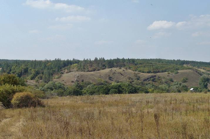 Горел уникальный парк