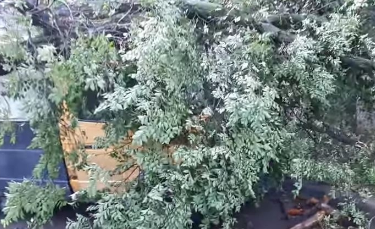 Ураган наделал беды в Донецке (видео)