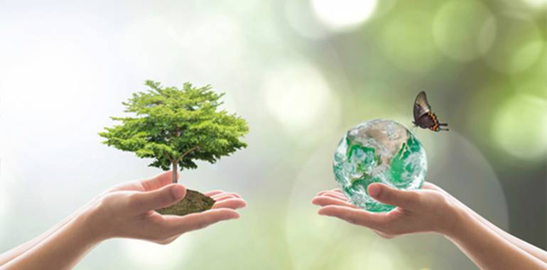 На экологию Луганщины потратят 23,5 млн гривен 