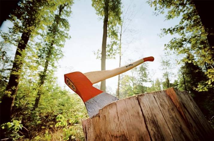 На Луганщине дерево убило лесника