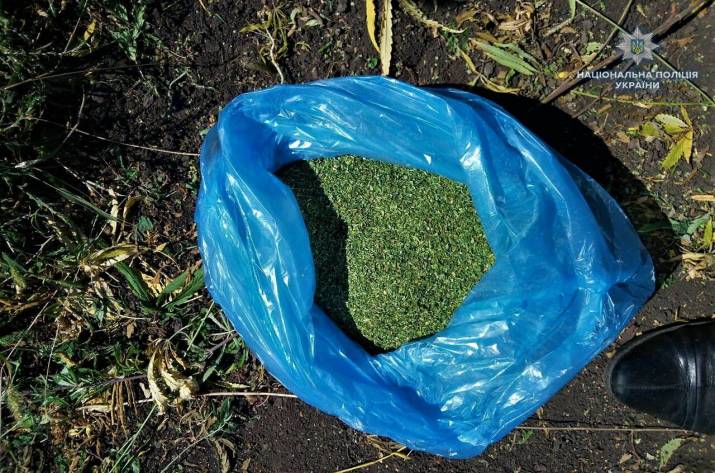 Полицейские изъяли у 62-летнего жителя Лисичанска килограмм марихуаны и 1500 кустов конопли.