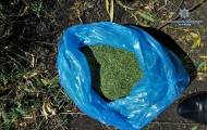 Полицейские изъяли у 62-летнего жителя Лисичанска килограмм марихуаны и 1500 кустов конопли.