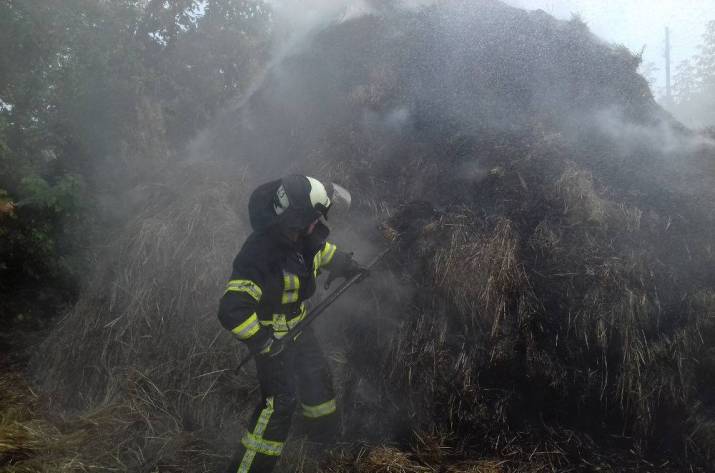 Детская шалость привела к пожару на Луганщине