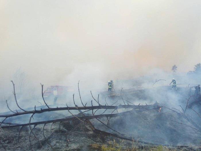 В заминированном районе Станично – Луганского лесоохотничьего хозяйства возник пожар на 10 гектарах