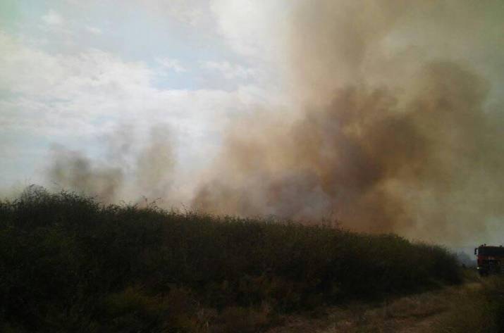 В Станично-Луганском районе с понедельника, 3 сентября, горят леса. Пожар уже уничтожил 30 га леса и 100 га степи. В прифронтовых селах огонь достиг жилых домов. Есть и пострадавшие.