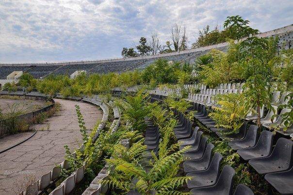 Как выглядит стадион