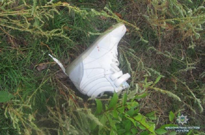 Разбой в Северодонецке: подозреваемый в жестоком избиении женщины задержан