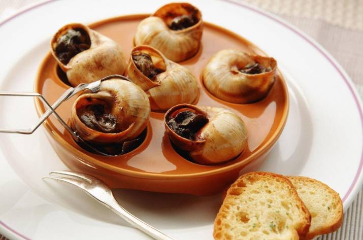 улитки для ресторана