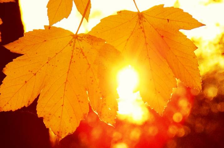 потепление