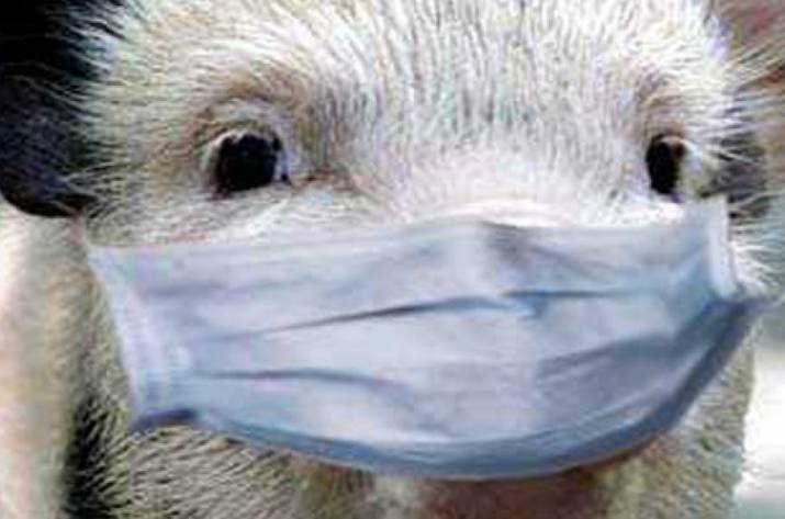 АЧС в Рубежном: информация для жителей города