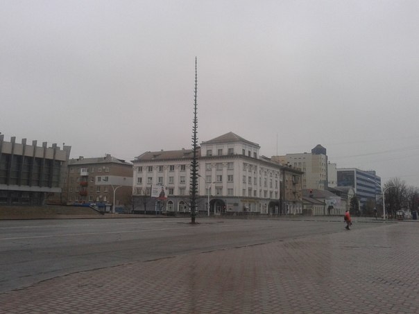 елка луганск