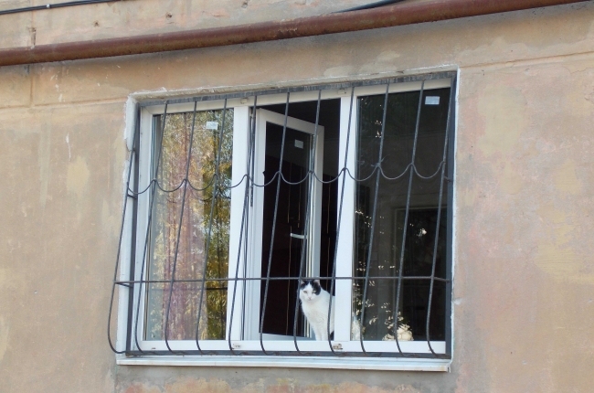 стекла