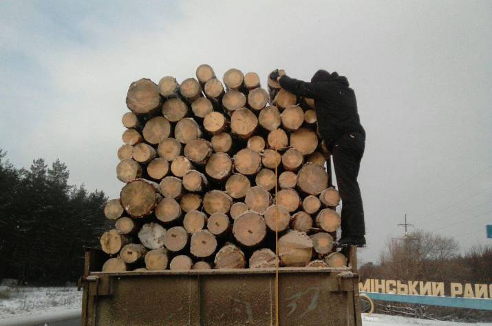 В Рубежном патрульные обнаружили КамАЗ, перевозивший древесину без соответствующих документов.