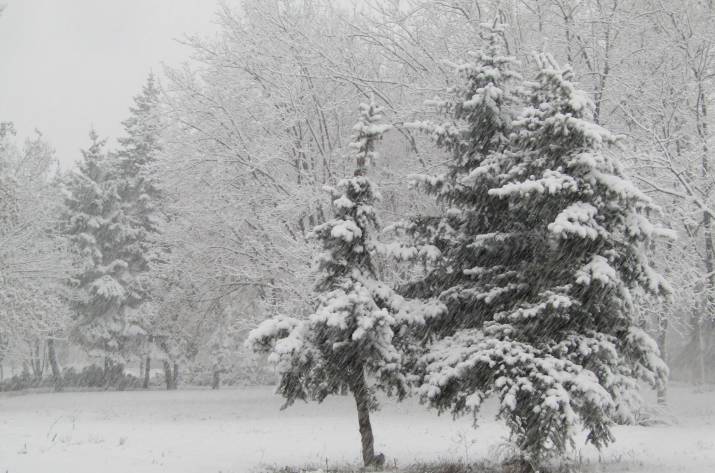 Луганск заметает снегом (фото)