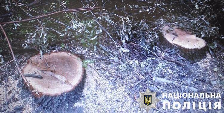 Работниками Управления защиты экономики в Луганской области совместно с работниками полиции были разоблачены факты преступной деятельности должностных лиц Главного управления ГСЧС на Луганщине. Об это