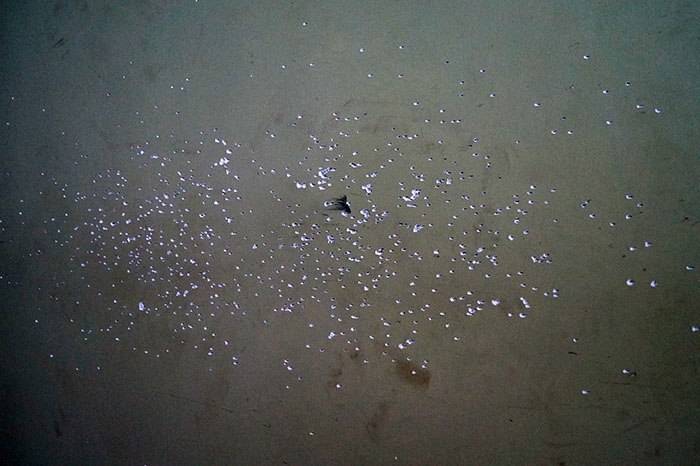 В Краматорске конфликт между бизнесменами дошёл до вооружённого противостояния 