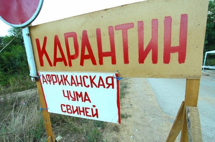 Государственная противоэпизоотическая комиссия при Рубежанском городском совете приняла решение снять карантин по эпидемии африканской чумы свиней. Об этом сообщает Рубежанское межрайонное управление