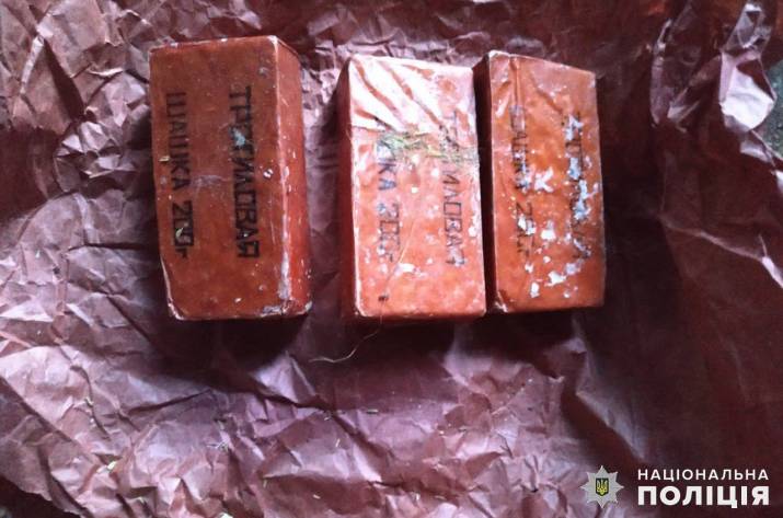 В ходе проведения санкционированного обыска по месту жительства ранее судимого 28-летнего жителя Лисичанска была обнаружена взрывчатка.