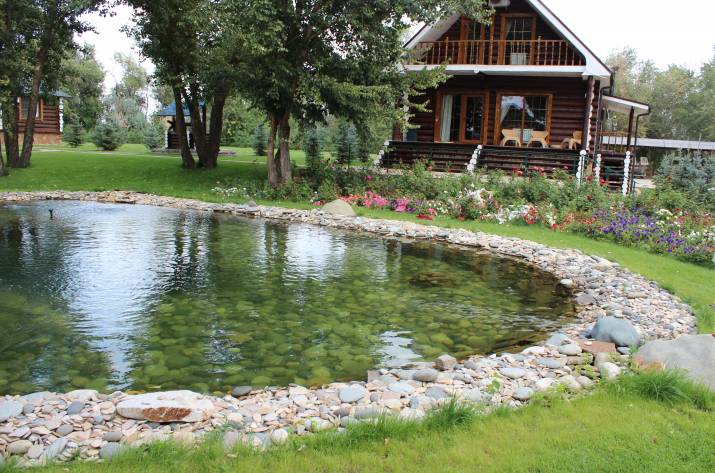 искусственный пруд