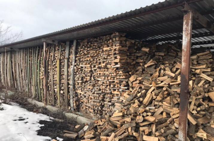 Усиление работы в направлении противодействия вырубке леса дало возможность привлечь ответственных за нарушения.