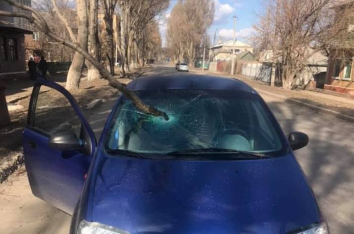 В Краматорске Донецкой области ветка, упавшая из дерева на легковой автомобиль, пробила лобовое стекло и травмировала водителя.