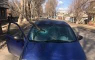 В Краматорске Донецкой области ветка, упавшая из дерева на легковой автомобиль, пробила лобовое стекло и травмировала водителя.