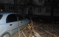 Вчера, 11 марта, в 22:50 в Службу спасения поступило сообщение о том, что возле жилого дома на пр. Гвардейском в Северодонецке вследствие урагана упало сухое дерево на легковой автомобиль.