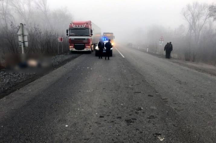 Возле Покровска водитель легкового автомобиля сбил мужчину. Об этом сообщает Покровское отделение полиции Донецкой области.